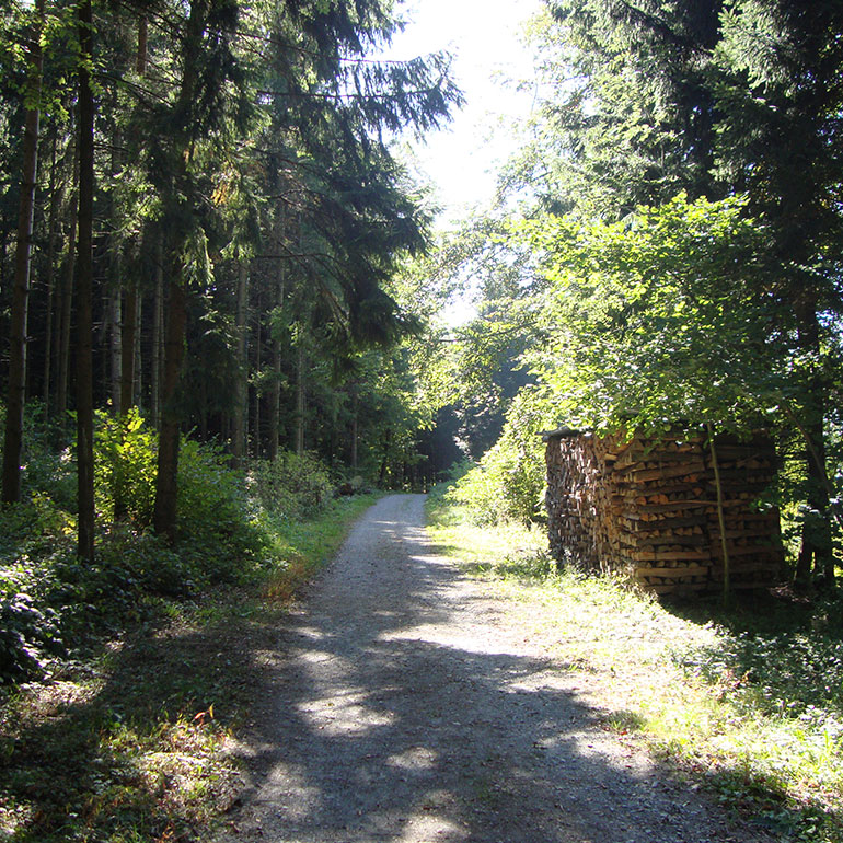 Commune d'Assens, GrosdeVaud, Suisse