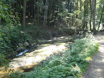 Sentier du Talent