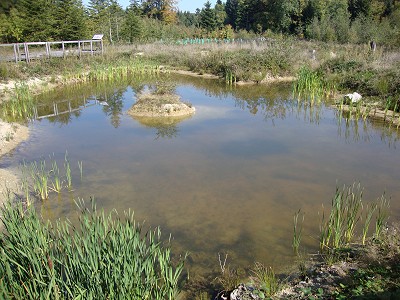 Etangs du Bois aux Allemands et arboretum